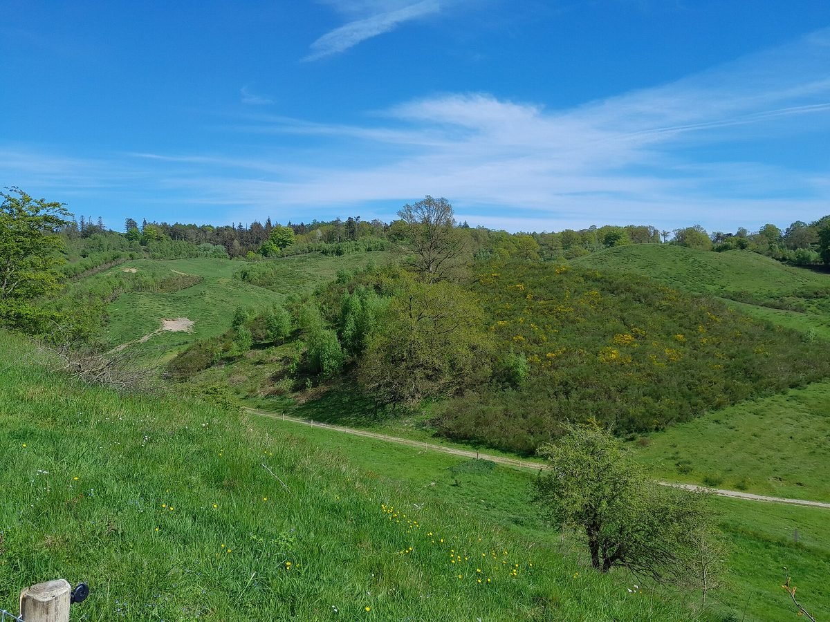 Grüne Hügellandschaft der Svanninge Bakker auf Fünen